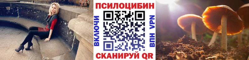 гидра вход  Костомукша  Псилоцибиновые грибы Magic Shrooms 