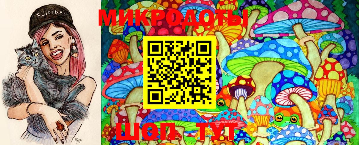 Псилоцибиновые грибы GOLDEN TEACHER  Галлюциногенные грибы Cubensis  Костомукша  Вход с VPN 